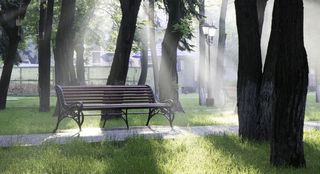 bench-seat